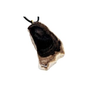 Versteinertem Holz Schmuckanhänger