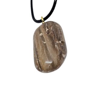 Versteinertes Holz Edelsteinanhänger