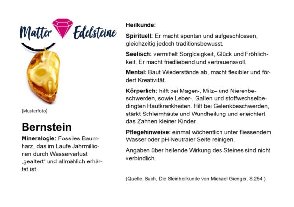 Bernstein mit Insekt - Image 4